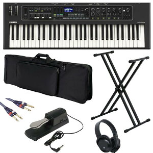 YAMAHA }n CK61`KvŒyZbg` 61ՁykbdsetzzvmF VZTCU[Edqy VZTCU[