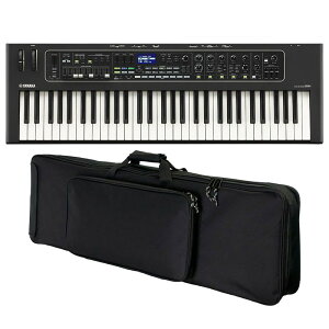 YAMAHA }n CK61+wėp\tgP[XZbg 61 ykbdsetz VZTCU[Edqy Xe[WsAmEIK