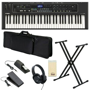 YAMAHA }n CK61Gg[ZbgB 61 ykbdsetz VZTCU[Edqy Xe[WsAmEIK