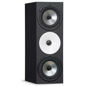 Amphion �y�󒍂����񂹕i�zTwo18X (1�{)(�A���t�B�I��)(�p�b�V�u���j�^�[�X�s�[�J�[) ���R�[�f�B���O ���j�^�[�X�s�[�J�[