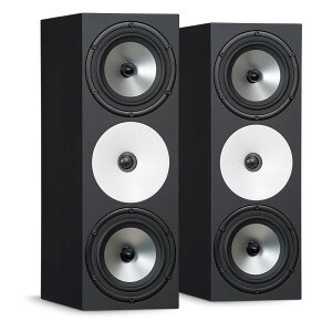 Amphion �y�󒍂����񂹕i�zTwo18X (�y�A)(�A���t�B�I��)(�p�b�V�u���j�^�[�X�s�[�J�[) ���R�[�f�B���O ���j�^�[�X�s�[�J�[