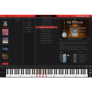 IK Multimedia The Resonator (����s��)(�I�����C���[�i) DTM �\�t�g�E�F�A����