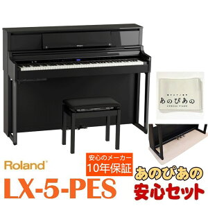Roland y2026N1{ȍ~t\z(10Nۏ)(Szݒu{)(ؓTt) LX-5-PESihʉohdグjbX@\t 88 sAm^b` n}[ANV [