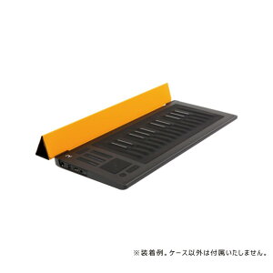 ROLI RISE 25 Flip Case - Amber DTM MIDI֘A@