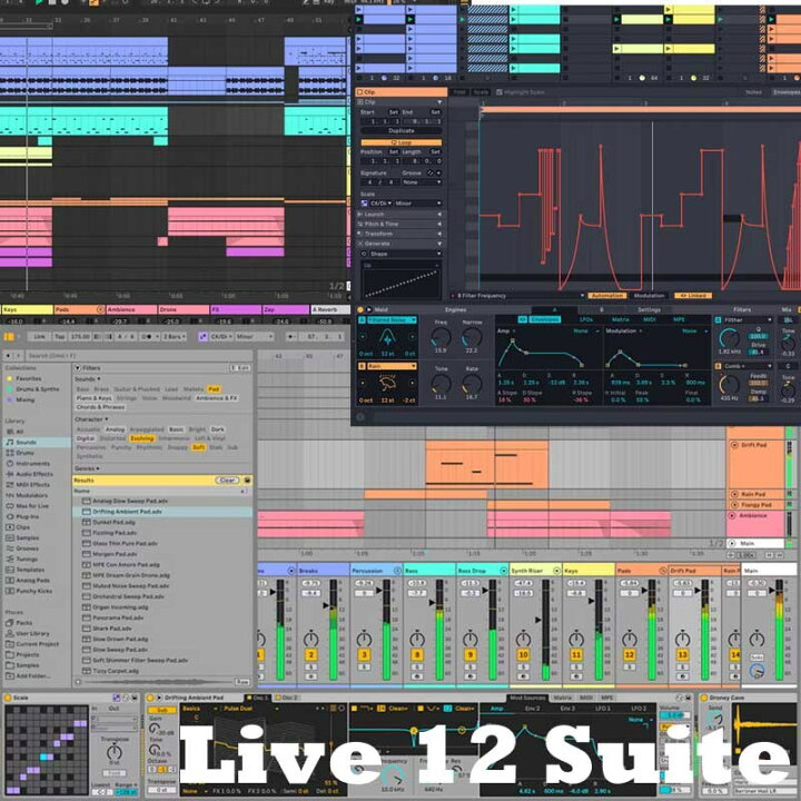 楽天市場】ableton Live 12 Suite (オンライン納品)(代引不可) DTM DAW 