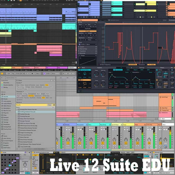 楽天市場】ableton Live 12 Suite EDU アカデミック版 (オンライン納品 