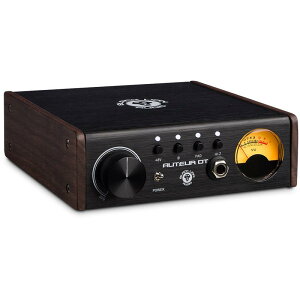 Black Lion Audio AUTEUR DT(�u���b�N���C�I���I�[�f�B�I)(DI)(�v���A���v) ���R�[�f�B���O �A�E�g�{�[�h