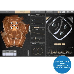 Inspired Acoustics Inspirata Lite to Professional Upgrade (AbvO[h)(s)(IC[i) DTM vOC\tg