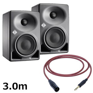 NEUMANN KH 80 DSP A G (�y�A)�yPASSGO RED�X�s�[�J�[�P�[�u���Z�b�g(TRS-XLR)3.0m�z(�m�C�}��)(���j�^�[�X�s�[�J�[)(KH80)(�A�N�e�B�u���j�^�[�X�s�[�J�[) ���R�[�f�B���O ���j�^�[�X�s�[�J�[