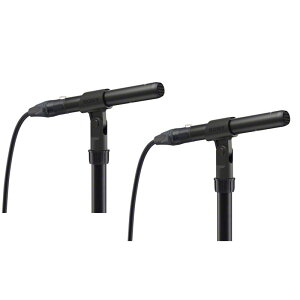 SONY ECM-100NMP【ハイレゾ全指向性コンデンサーマイク ステレオペアモデル】【お取り寄せ商品】 レコーディング マイク