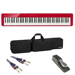 CASIO JVI PX-S1100RDy_p[y_P[XZbgz(dqsAm) dqsAmȆՊy dqsAm