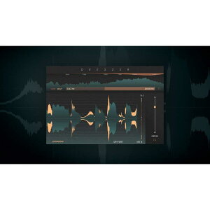 Softube Deesser(�\�t�`���[�u)(�v���O�C���\�t�g)(�I�����C���[�i) DTM �v���O�C���\�t�g