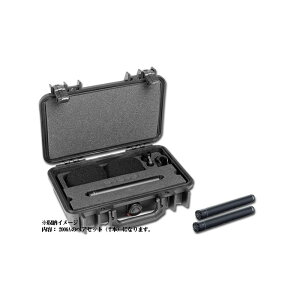 DPA ST2006A ステレオ・キット(2006A×2)(お取り寄せ商品) レコーディング マイク