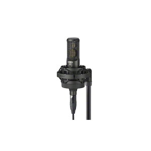 SONY C-100 【ハイレゾコンデンサーマイク】(お取り寄せ商品・納期別途ご案内) レコーディング マイク