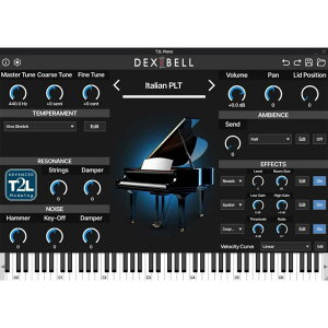 DEXIBELL T2L Piano (sAm)(o[`sAm\tg)(IC[i) DTM \tgEFA