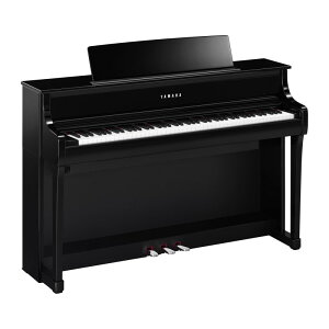 YAMAHA y9{ȍ~t\zCLP-875PE ʉodグ(s)(S{zݒu݁AKiグEƁEꕔnʓrς) dqsAmȆՊy dqsAm