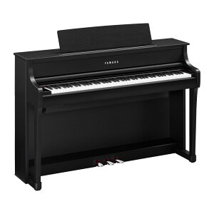 YAMAHA y9{ȍ~t\zCLP-875B ubNEbh(s)(S{zݒu݁AKiグEƁEꕔnʓrς) dqsAmȆՊy dqsAm