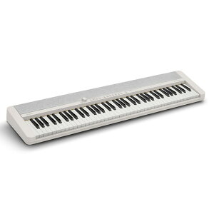 CASIO CT-S1-76WE(zCg) tone(dqsAm) dqsAmȆՊy dqsAm