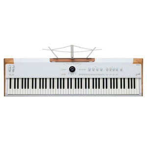 zB Arturia yH̃X[p[Z[zAstrolab 88 (蒴I)(ViԃAEgbg)in}[ANVՍ̗pjA[gA AXg{ 88 sAm^b` zvmF 