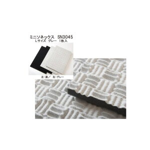 MINI-SONEX �����h���~�j�\�l�b�N�XSN-3045 �i�O���[�^��@600×900×24�^1�����j ���R�[�f�B���O ���R�[�f�B���O���Ӌ@��