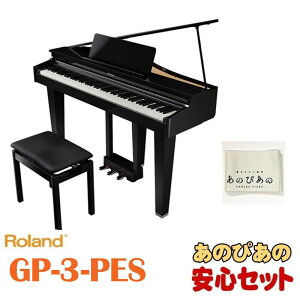 Roland GP-3-PESy10Nۏ؁zyhʓhdグzyؓTtzySzݒu/Ez(dqsAm) dqsAmȆՊy dqsAm