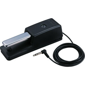 zB Roland DP-10 VZTCU[Edqy VZEL[{[hANZT