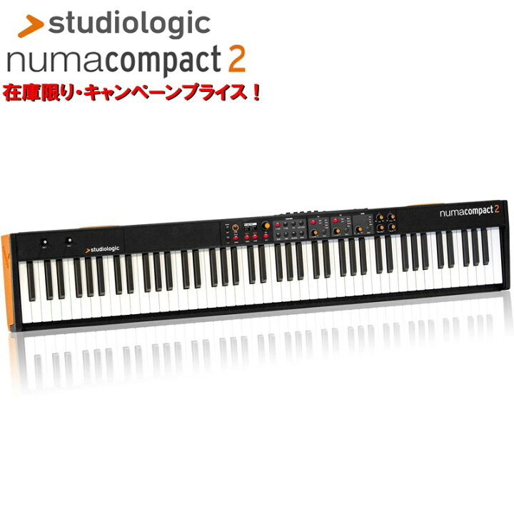 楽天市場】翌日配達 Studiologic 【春得セール】Numa Compact 2 (生産 