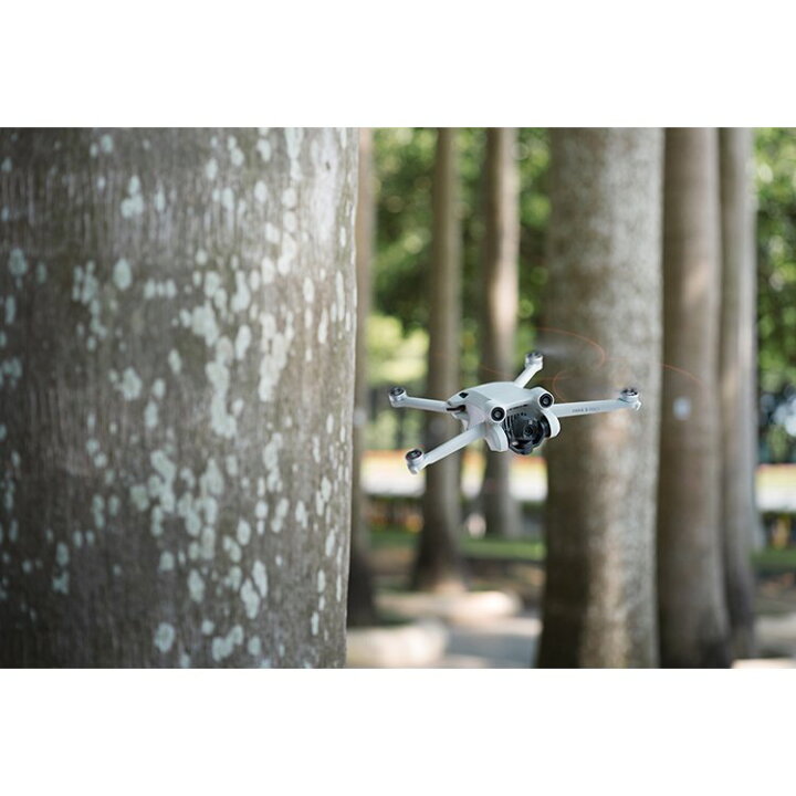 楽天市場】即納可 ドローン DJI Mini 3 Pro RC ディスプレイコントローラー付き リモートID対応 超軽量 250g以下 空撮 小型 MINI3 4K HDR 60fps 動画 縦向き撮影 長時間飛行 送料無料 初心者 プロ スクリーン : DJI 楽天市場店 楽天市場】即納可 ドローン DJI Mini 3 Pro RC ディスプレイコントローラー付き リモートID対応 超軽量 250g以下 空撮 小型 MINI3 4K HDR 60fps 動画 縦向き撮影 長時間飛行 送料無料 初心者 プロ スクリーン : DJI 楽天市場店