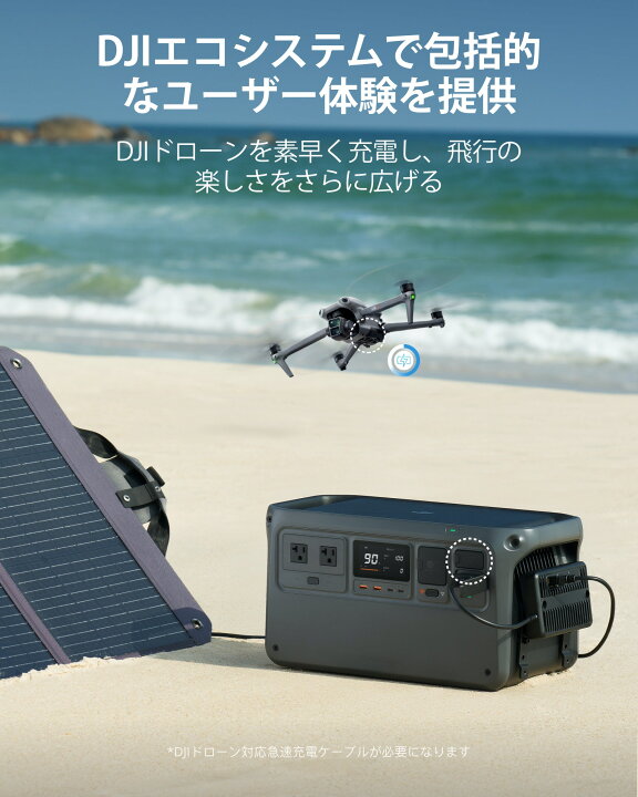 楽天市場】ポータブル電源 35%OFF! 4/17まで! 即納 DJI Power 1000 