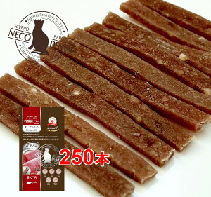 {Y Lp ˂ł񂽂 _ۃvX Premium100 ܂qdLevel1r250{(10{×25)yY/f^K/o[hpubNz ˂  K