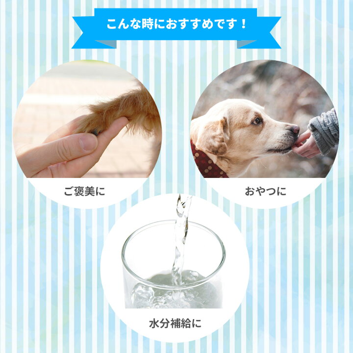 楽天市場 日本産 犬用おやつ いぬすむーじー 無添加ピュア Purevalue5 乳製品select キウイ グリーン 本入 4本 5袋 犬 おやつ 犬用おやつ 犬のおやつ 犬のオヤツ いぬのおやつ 犬ぴゅーれ ピューレ ぴゅーれ あす楽対応 Riverd Republic 楽天市場 日本産 犬用おやつ いぬすむーじー 無添加ピュア Purevalue5 乳製品select キウイ グリーン 本入 4本 5袋 犬 おやつ 犬用おやつ 犬のおやつ 犬のオヤツ いぬのおやつ 犬ぴゅーれ ピューレ ぴゅーれ あす楽対応 Riverd Republic