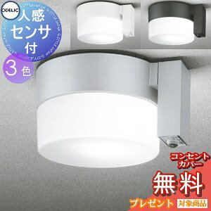 �G�N�X�e���A ���O �Ɩ� ���C�g�I�[�f���b�NODELIC �|�[�`���C�g OG254987LCR OG254987NCR OG254988LCR OG254988NCR OG254989LCR OG254989NCR �V�[�����O���C�g �V��ʁE���֓� �l���Z���T�[ ���[�h�ؑ֌^ �d���F ��