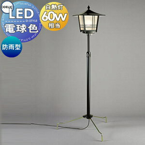 �G�N�X�e���A ���O �Ɩ� ���C�g �K�[�f�����C�g�I�[�f���b�NODELIC�a���Ɩ� OG043062LR �����_�Ŋ�t �a���뉀�� �s�� ���� �v���O������ LED �d���F