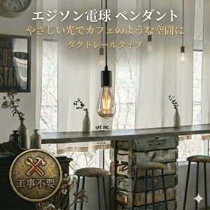 �Ɩ� ������� ���킢���R�C�Y�~�Ɩ� KOIZUMI �y���_���g���C�g AP49031L �d���F �_�N�g���[���p �H���s�v�}�b�g�u���b�N�h�� �t�B���� �G�W�\���d���^LED ���M��40W���� ���g�����Y���t�B������