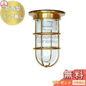 {D matumoto senpakuqVEǎtpr}v NEWfbLS[h vf NW-DK-G fbLCgV[Y Op h ^JE }Cg D DƖ