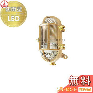 {D matumoto senpakuqǎtpr}v RJK^fbLS[h LEDvf RKM-DK-G fbLCgV[Y Op h ^JE }Cg D D