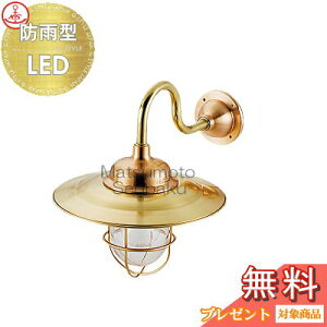 {D matumoto senpakuqǎtpr}v R1SANACgS[h LEDvf R1S-AQ-G |[`CgV[Y Op ^JE }Cg DƖ