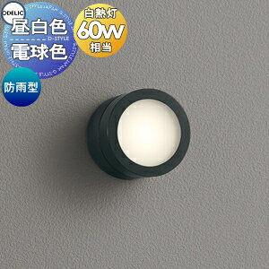 GNXeA O Ɩ CgI[fbNODELIC|[`Cg OG264063NR F OG264063LR dF F LEDdtbg` hJ^M60W ǖʁEVʁEXΖʎtp v^
