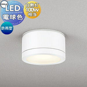 GNXeA O Ɩ CgI[fbNODELIC |[`Cg OG254601LR dF M100W ItzCg ی^ fUC dF LED uPbgCg |[`Cg ֓ ֏Ɩ 和