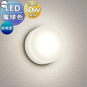 GNXeA O Ɩ CgI[fbNODELIC |[`Cg OG254820R dF M60W ItzCg ی^ fUC dF LED uPbgCg oX[Cg ֓ ֏Ɩ 