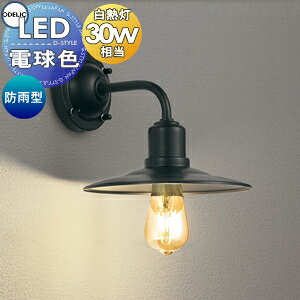 GNXeA O Ɩ CgI[fbN|[`Cg OG254771LC1 AeB[N M30W F }v AeB[N dF |[`Cg ʔZT[Ή