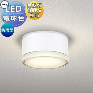 GNXeA O Ɩ CgI[fbNODELIC |[`Cg OG254598LR dF M100W ItzCg ی^ fUC dF LED uPbgCg |[`Cg ֓ ֏Ɩ 和
