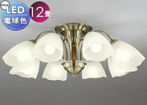 Ɩ  Vv _ LEDI[fbN ODELIC VfA OC006918LR dF NVJŃGKgȘȂ܂ `12