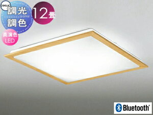 I[fbN ODELIC FV[OCg OL251629BCR ؍ރi`F FLED dF`F cotی`|V[Ot BluetoothΉ@ `12 VR؃t[̃X^_[h