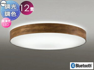 I[fbN ODELIC FV[OCg OL291355BCR ؍ރEH[ibgFÖ FLED dF`F cotی`|V[Ot BluetoothΉ@ `12 Íނ̂悤ȕɎd