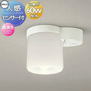 Ɩ  CgI[fbN ODELIC xlZT[tgCbgCg OL013379LR dF |J[{l[giItzCgFEj M60W