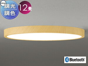 Ɩ  CgI[fbN ODELIC tbgv[g pV[OCg OL291417BR ؒi`F ȈՎt^ F dF`F BluetoothΉ@ `12 ψŔʔ