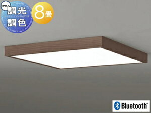 I[fbN ODELIC tbgv[g pFV[OCg OL291521BR A~ؒEH[ibgF p^^Cv dF`F cotی`|V[Ot BluetoothΉ `8 