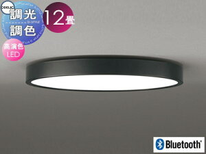 Ɩ  CgI[fbN ODELIC tbgv[g FV[OCg OL291564BR F NCbNt^ dF`F FLED BluetoothΉ@ `12 ψŔʔB