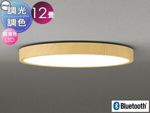 Ɩ  CgI[fbN ODELIC tbgv[g pV[OCg OL291565BR ؒi`F NCbNt^ F dF`F BluetoothΉ@ `12 ψŔ